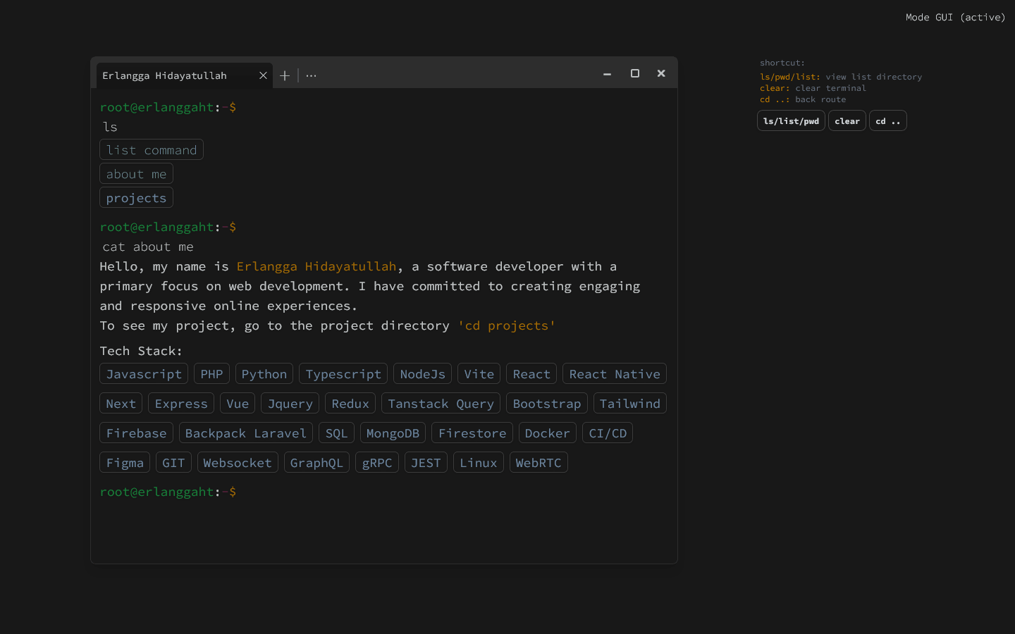 TermErl project preview